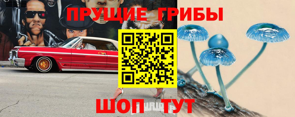 Псилоцибиновые грибы GOLDEN TEACHER  Вход с VPN  Галлюциногенные грибы Psilocybine cubensis  Советская Гавань 