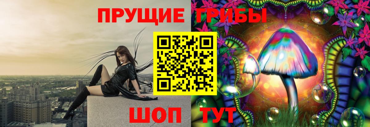 Псилоцибиновые грибы мицелий Советская Гавань
